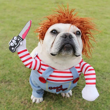 Fantasia Canina de Halloween | Chuck